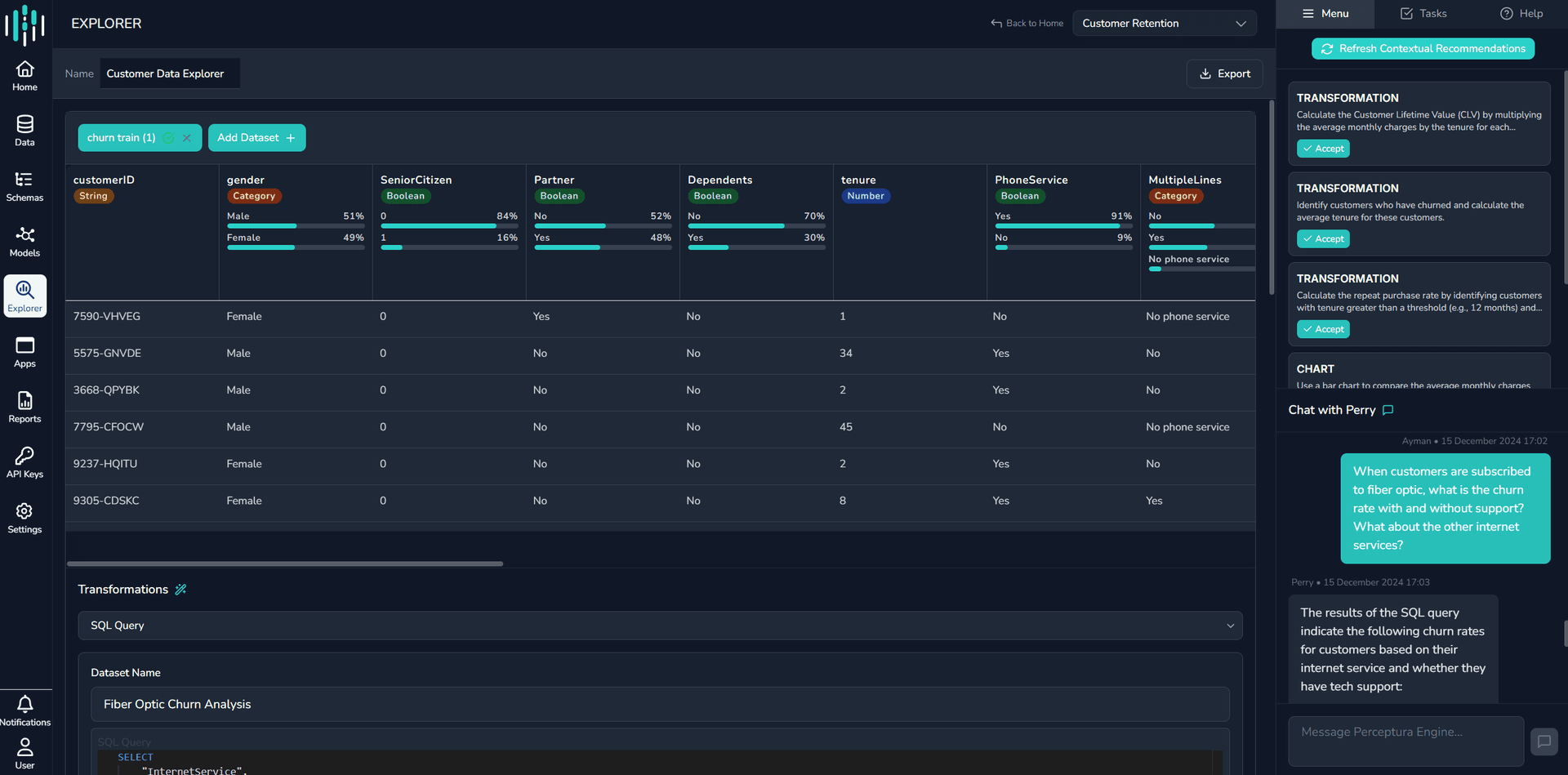 Data Explorer Interface